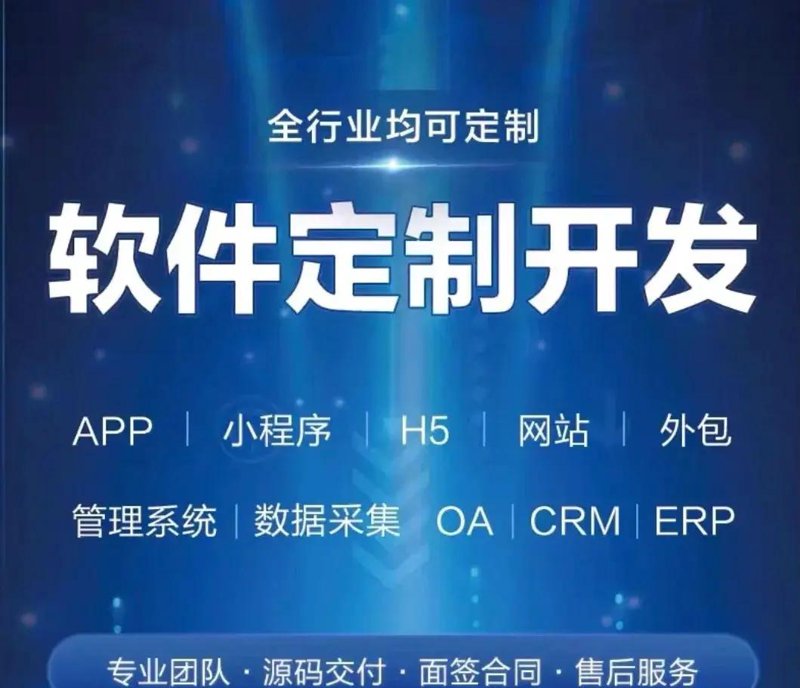 企业系统定制:打造专属信息高速公路
